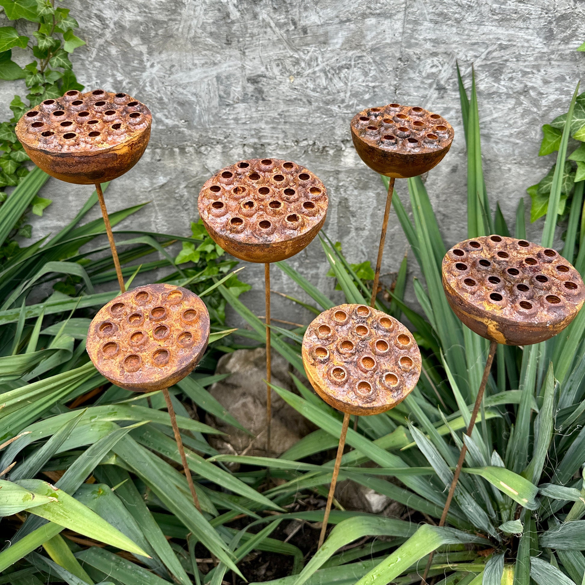 Rustic Metal Lotus Flowers Set of 6, Handmade Garden Sculptures, Rain Catchers for Bees and Butterflies, Outdoor Yard Art, Landscaping Gift