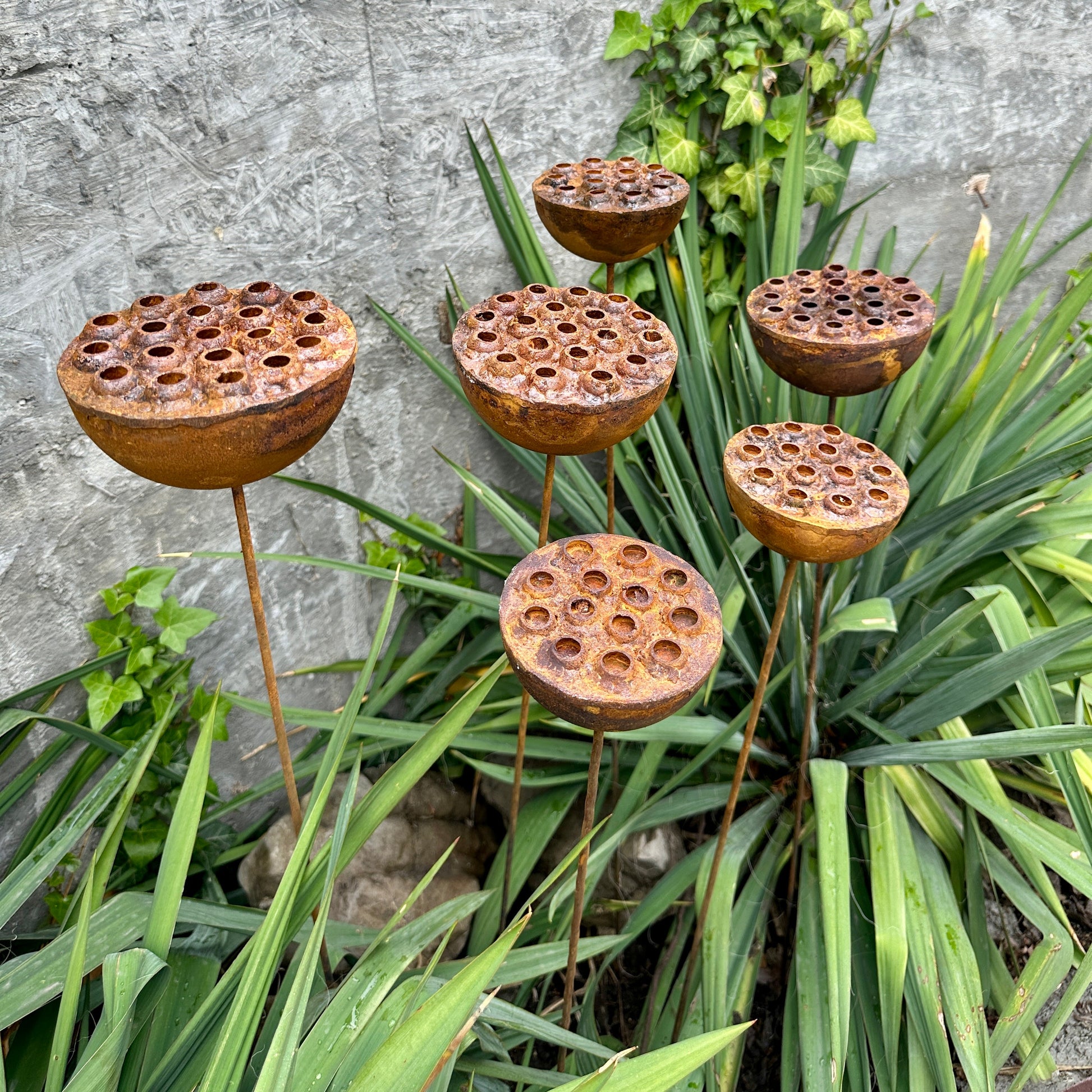 Rustic Metal Lotus Flowers Set of 6, Handmade Garden Sculptures, Rain Catchers for Bees and Butterflies, Outdoor Yard Art, Landscaping Gift