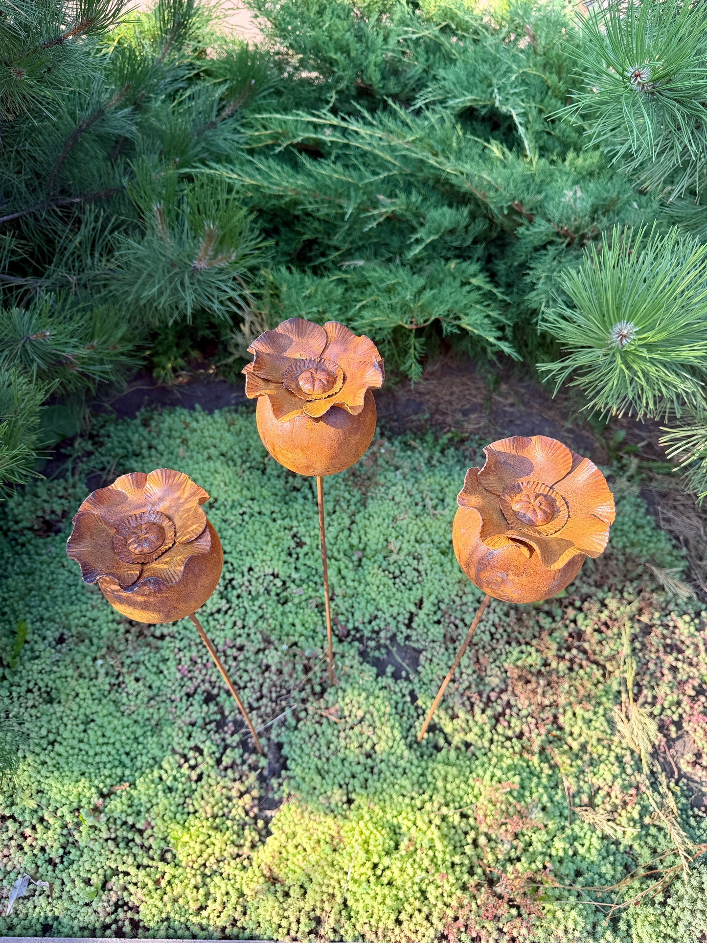 Mohnkapsel-Gartendeko, Rostige Blumen im 6er-Set, Metall-Gartendeko, Metall-Gartenskulptur, Metall-Gartendekoration, Rostige Metall-Gartendeko