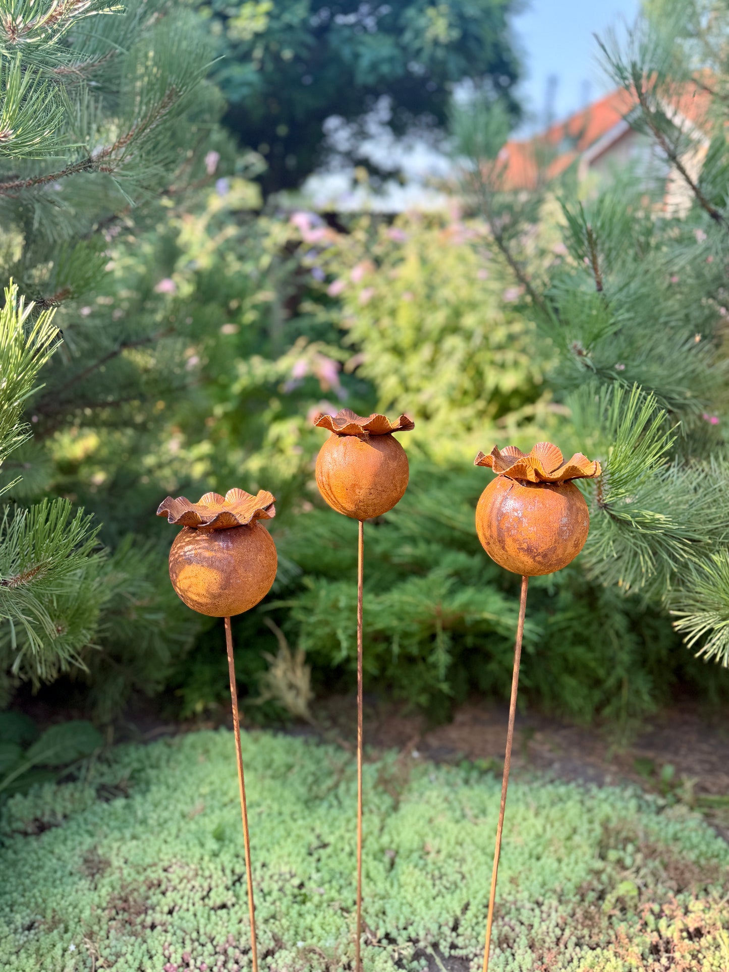 Mohnkapsel-Gartendeko, Rostige Blumen im 6er-Set, Metall-Gartendeko, Metall-Gartenskulptur, Metall-Gartendekoration, Rostige Metall-Gartendeko