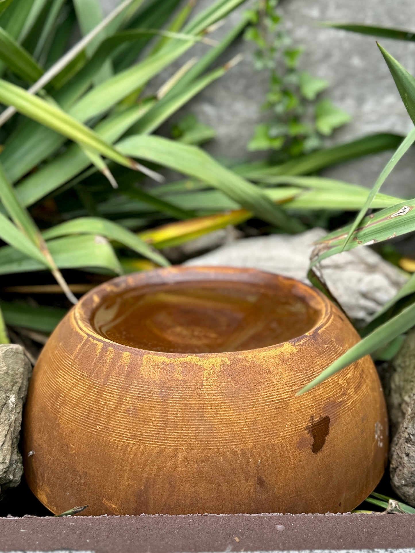 Rain Catcher Outdoor Garden Decor, Bird, Insect Water Station, Bee & Butterfly Feeder, Rustic Yard Art