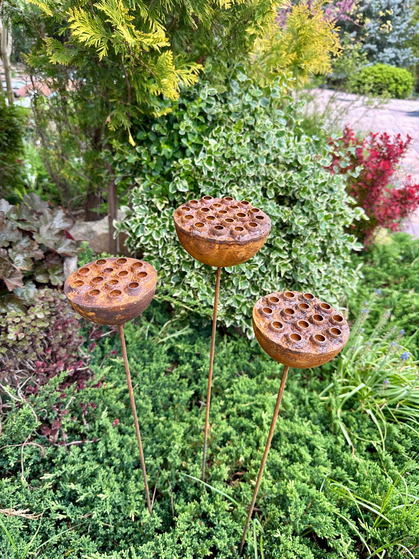 Set of 3 Rustic Metal Lotus Flowers, Garden Decorations, Handmade Sculptures, Rustic Landscaping, Garden Art, Bee and Butterflies Cups