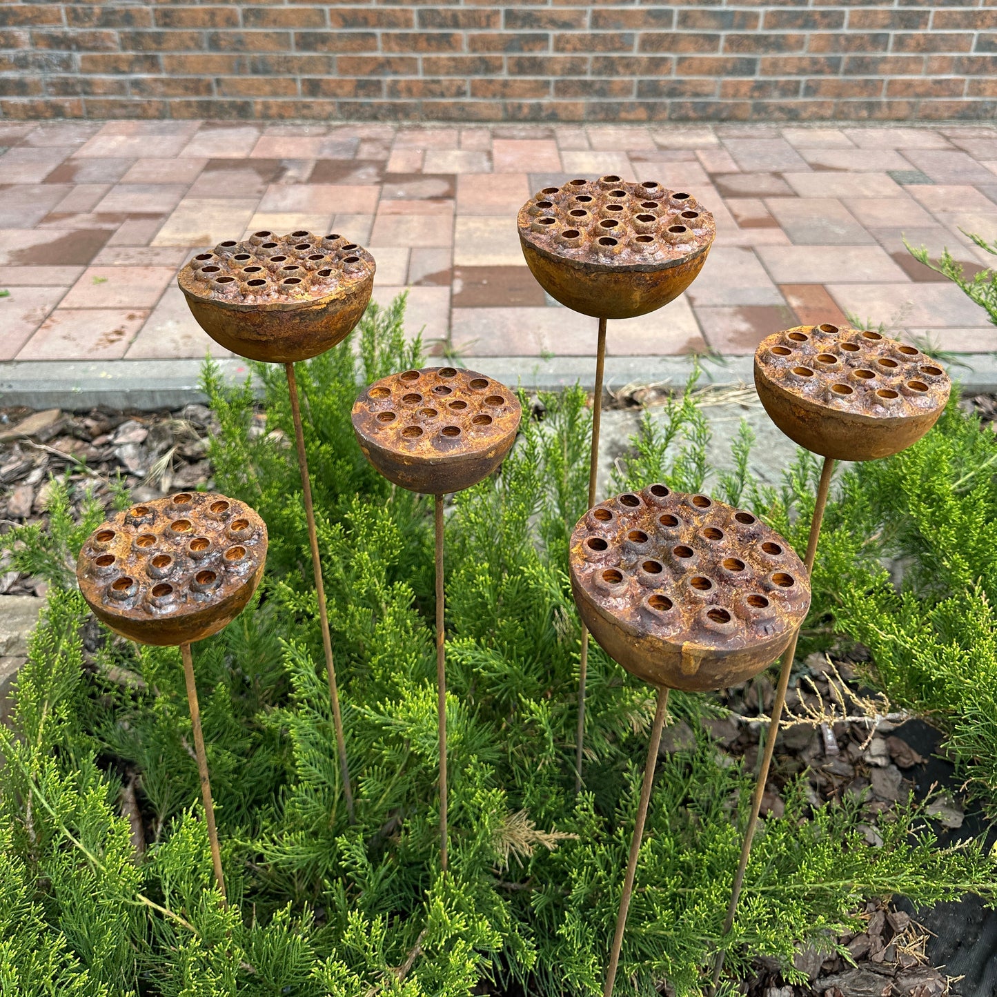 Rustic Metal Lotus Flowers Set of 6, Handmade Garden Sculptures, Rain Catchers for Bees and Butterflies, Outdoor Yard Art, Landscaping Gift