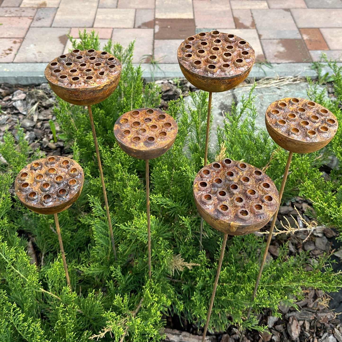 Rustic Metal Lotus Flowers Set of 6, Handmade Garden Sculptures, Rain Catchers for Bees and Butterflies, Outdoor Yard Art, Landscaping Gift