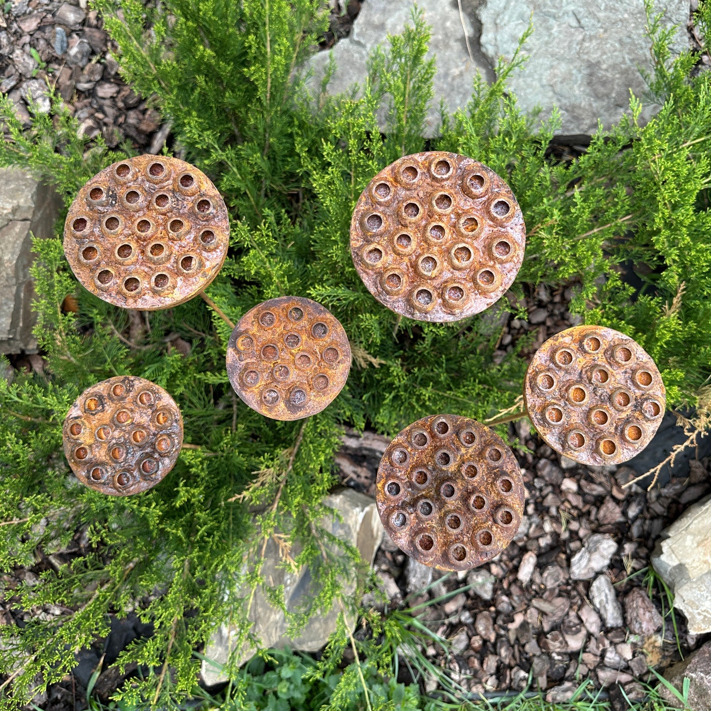 Rustic Metal Lotus Flowers Set of 6, Handmade Garden Sculptures, Rain Catchers for Bees and Butterflies, Outdoor Yard Art, Landscaping Gift