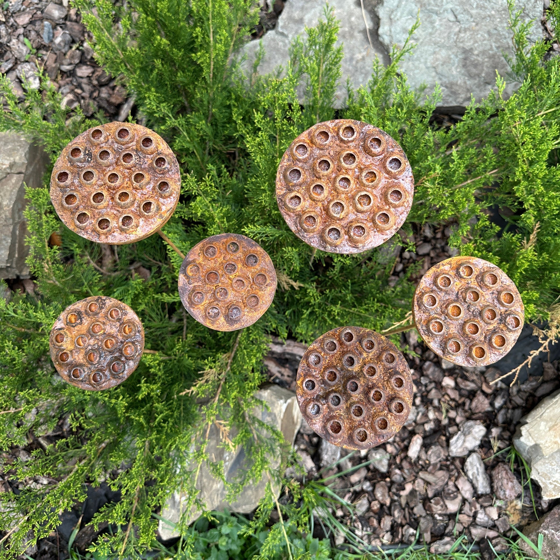 Rustic Metal Lotus Flowers Set of 6, Handmade Garden Sculptures, Rain Catchers for Bees and Butterflies, Outdoor Yard Art, Landscaping Gift