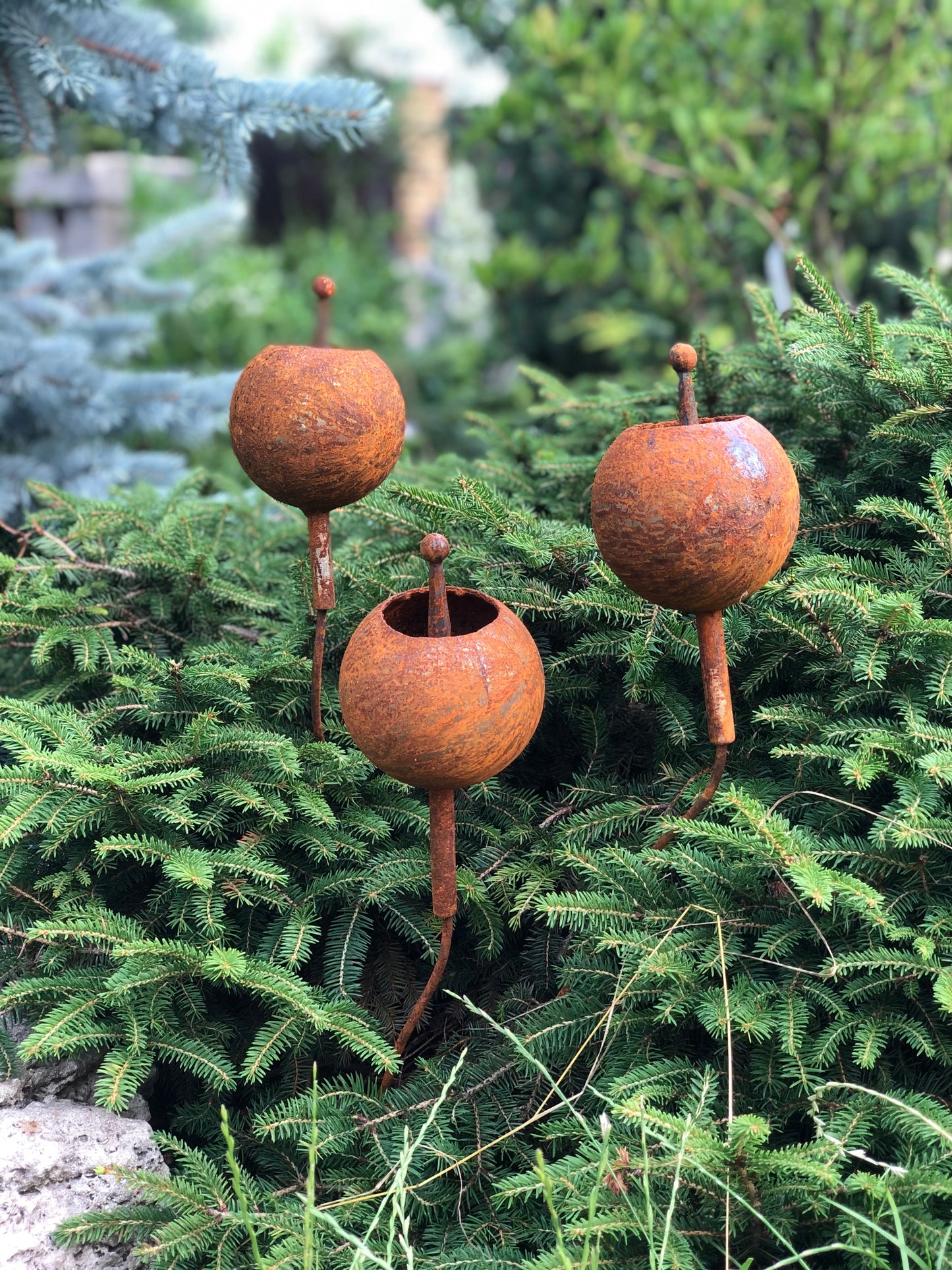 Rusty flowers set of 3, Rustic garden decor, Metal garden decor, metal yard art, outdoor metal decor, Rusty metal garden decor, Garden art