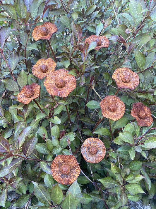 Set of 10 Rusty Flowers, Poppies Garden Posts, Metal Garden Decor, Metal Garden Art, Outdoor Metal Decor, Rusty Metal Garden Decor