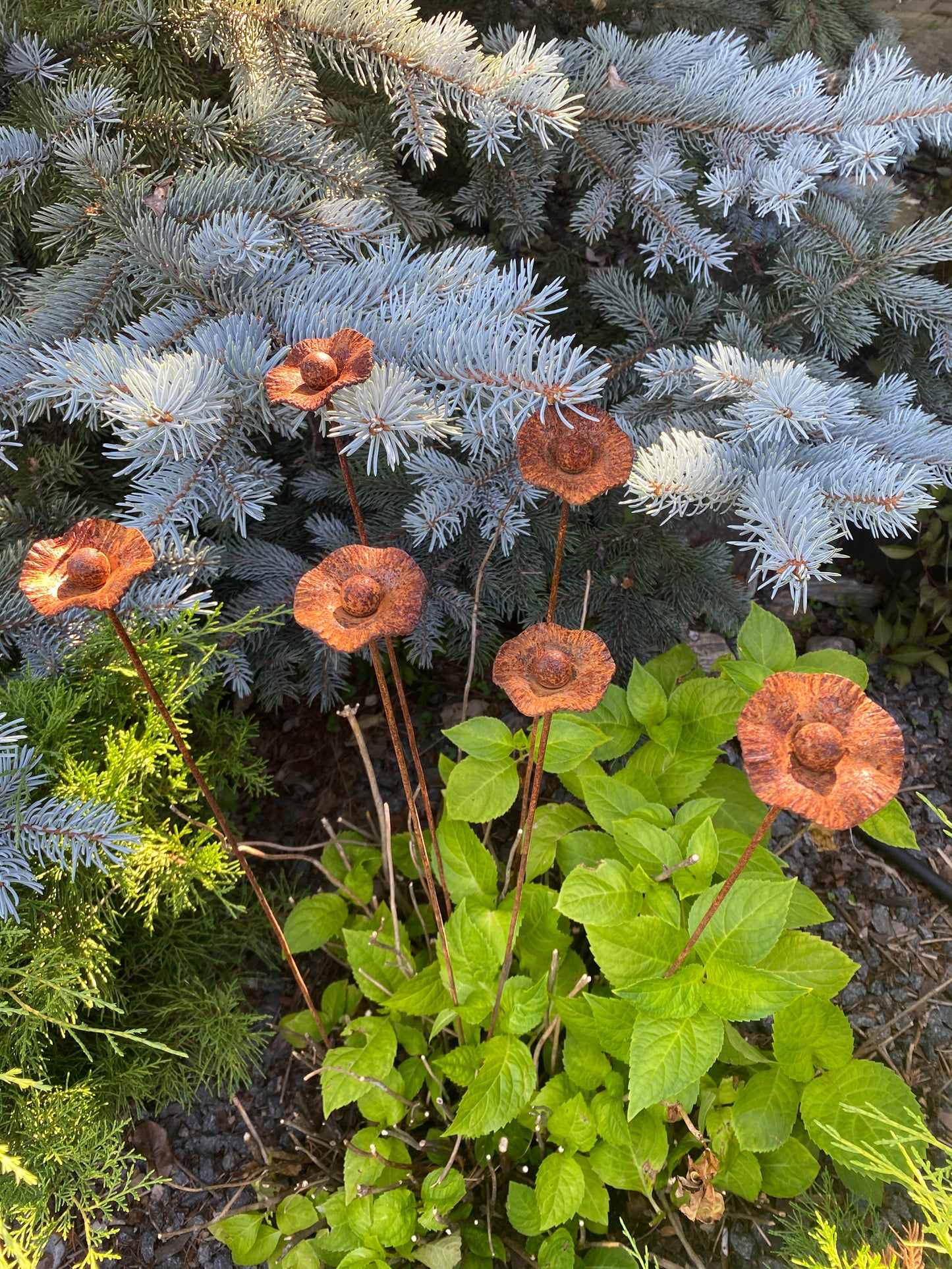 Rusty flowers set of 6, Poppy flowers garden stakes, Metal garden decor, metal yard art, outdoor metal decor, Rusty metal garden decor