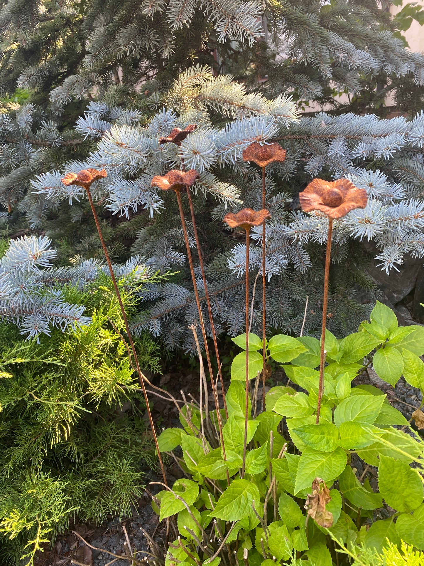 Rusty flowers set of 6, Poppy flowers garden stakes, Metal garden decor, metal yard art, outdoor metal decor, Rusty metal garden decor