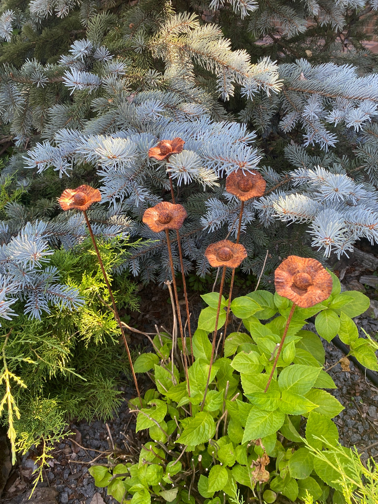 Rusty flowers set of 6, Poppy flowers garden stakes, Metal garden decor, metal yard art, outdoor metal decor, Rusty metal garden decor