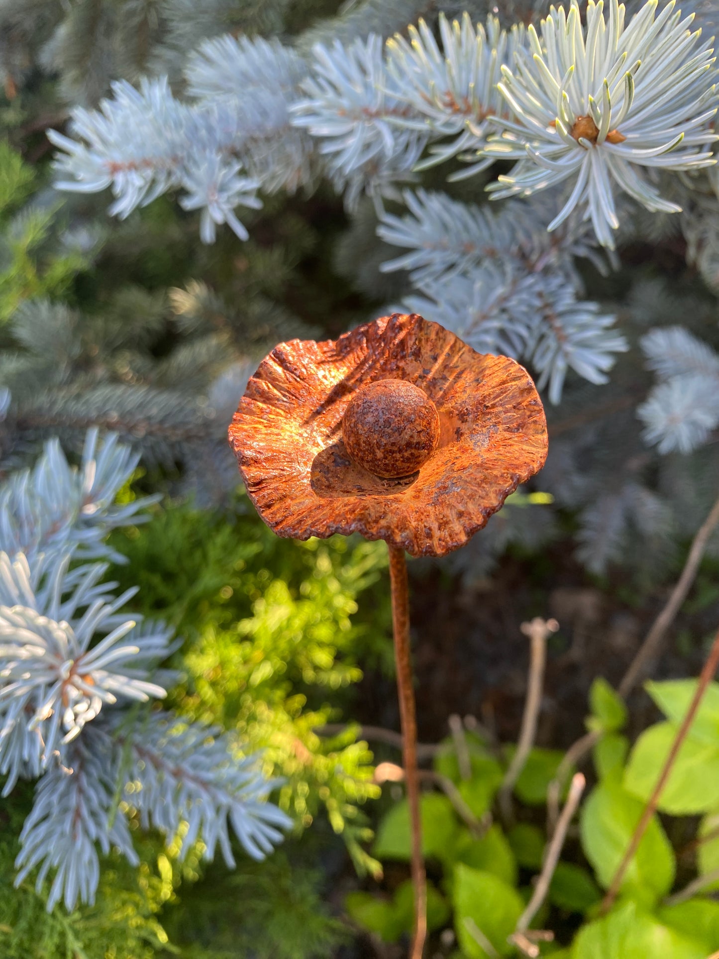 Rusty flowers set of 6, Poppy flowers garden stakes, Metal garden decor, metal yard art, outdoor metal decor, Rusty metal garden decor