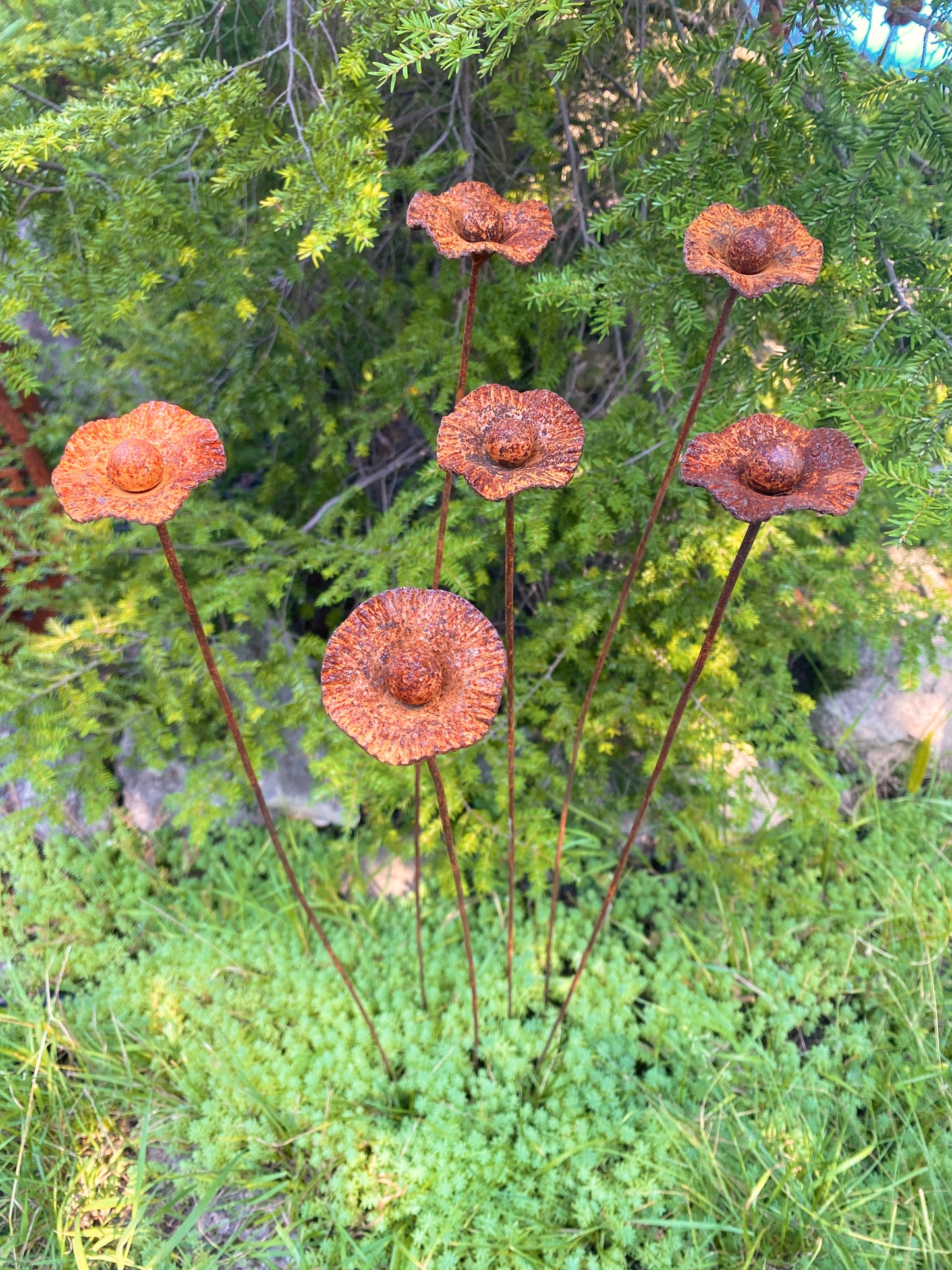 Rusty flowers set of 6, Poppy flowers garden stakes, Metal garden decor, metal yard art, outdoor metal decor, Rusty metal garden decor