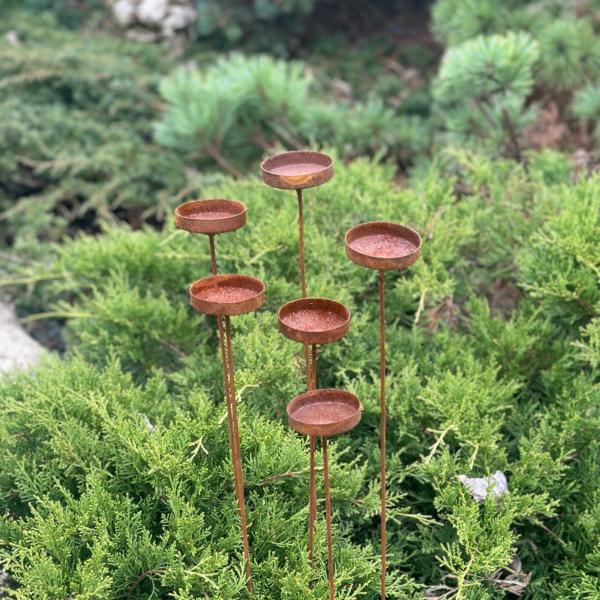 Rustic metal flowers set of 6 will place decorative accent in the garden compositions and landscape, create an atmosphere of romance and coziness in your home. This rusty metal art could be used as decoration at your home, in your garden, backyard, terrace or entrance to your home