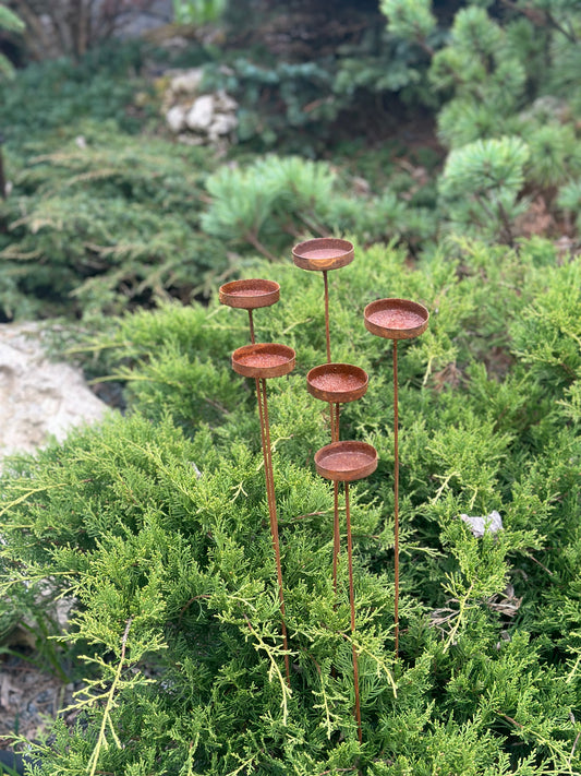 Rusty flower garden stakes, Metal mini rain catchers, Outdoor garden decor