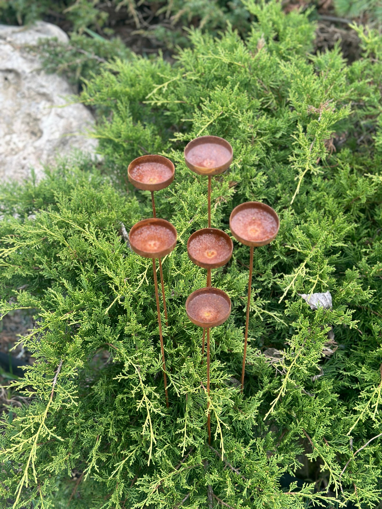 Rustic metal flowers set of 6 will place decorative accent in the garden compositions and landscape, create an atmosphere of romance and coziness in your home. This rusty metal art could be used as decoration at your home, in your garden, backyard, terrace or entrance to your home