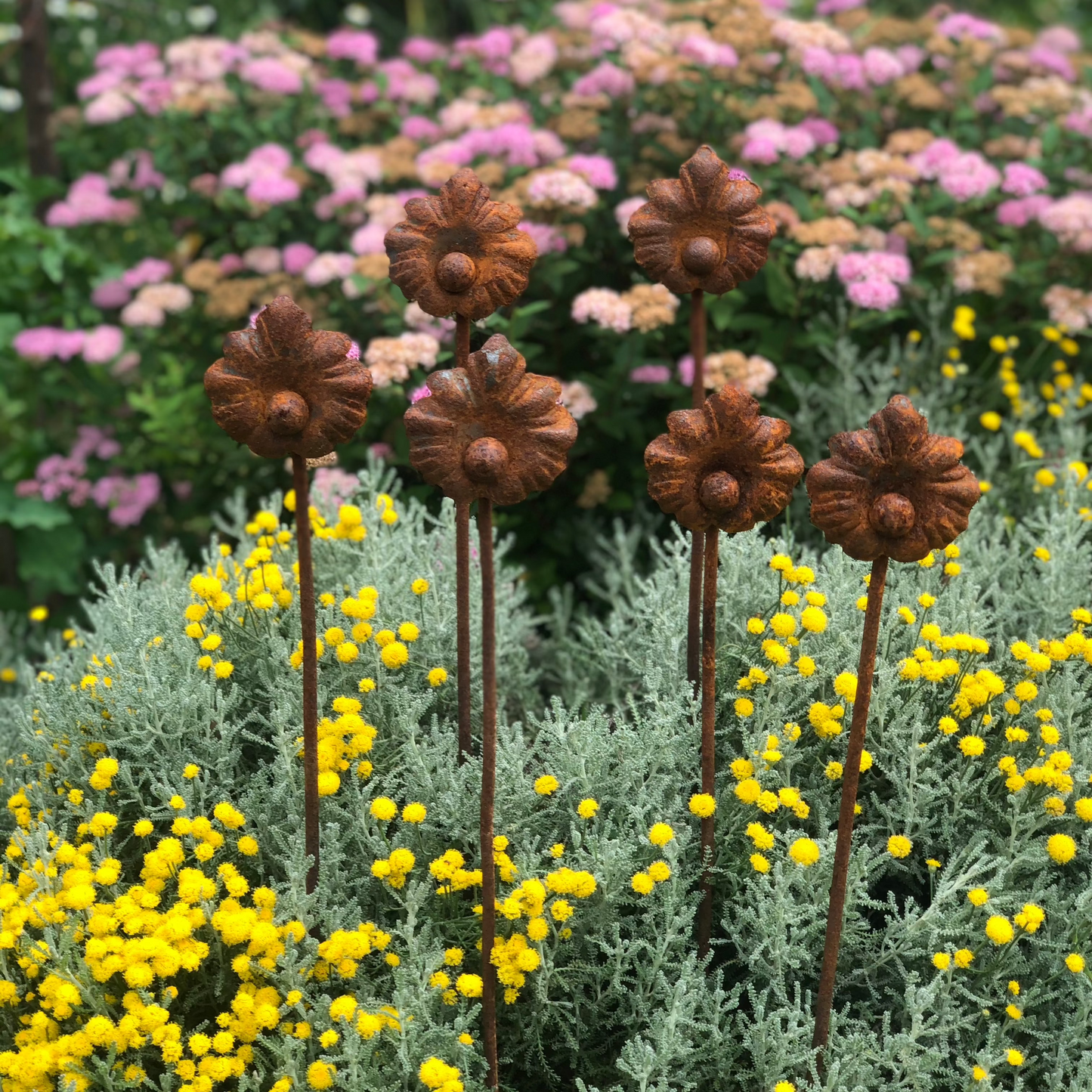 Rusty flowers set of 6, Metal flower garden stake, Metal garden decor, metal yard art, outdoor metal decor, Rusty metal garden decor