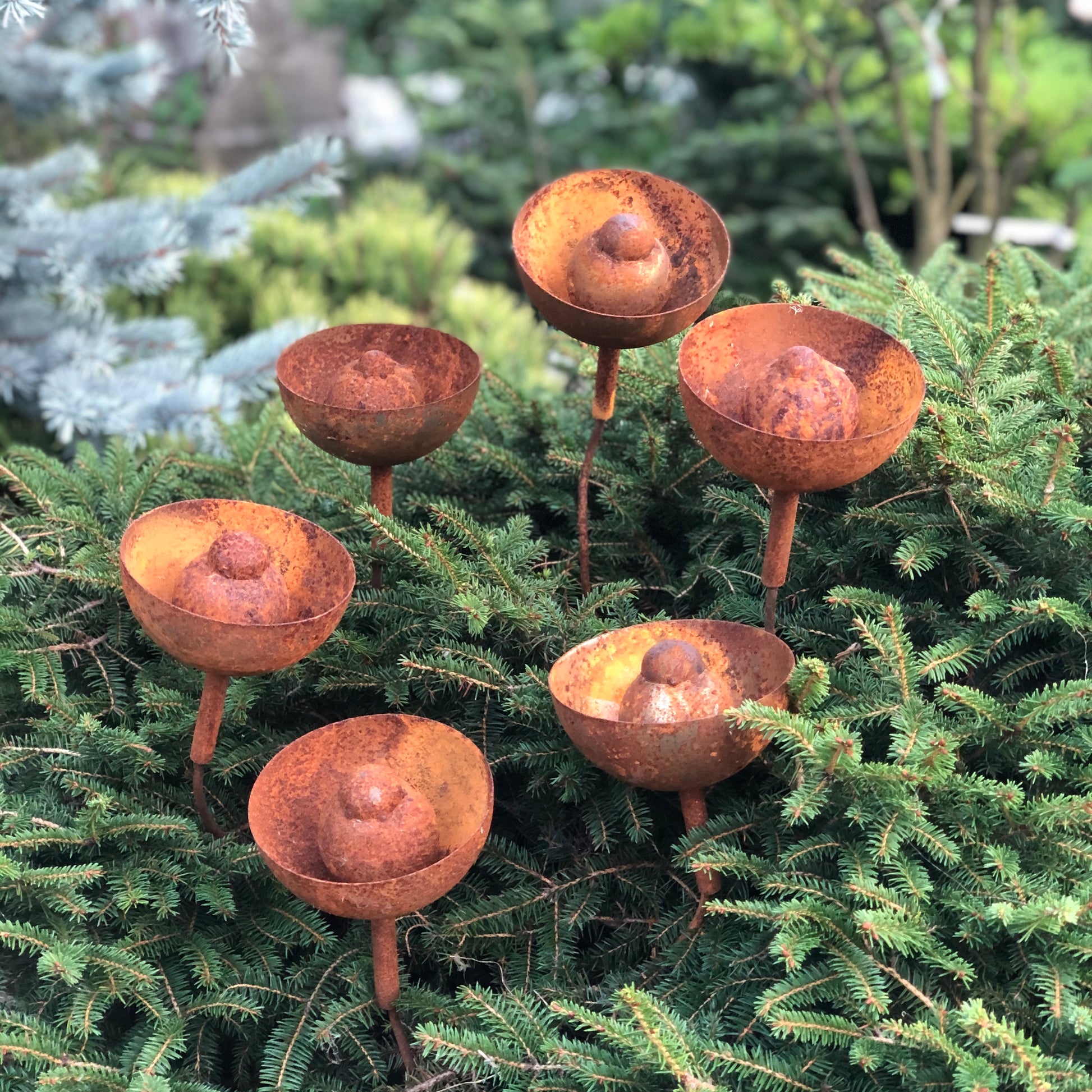 Rusty flowers set of 6, Metal garden decor, 6 Rusty flowers garden stakes,  metal yard art, outdoor metal decor, Rusty metal rain catchers