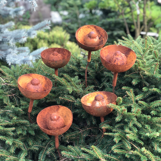 Rusty flowers set of 6, Metal garden decor, 6 Rusty flowers garden stakes,  metal yard art, outdoor metal decor, Rusty metal rain catchers