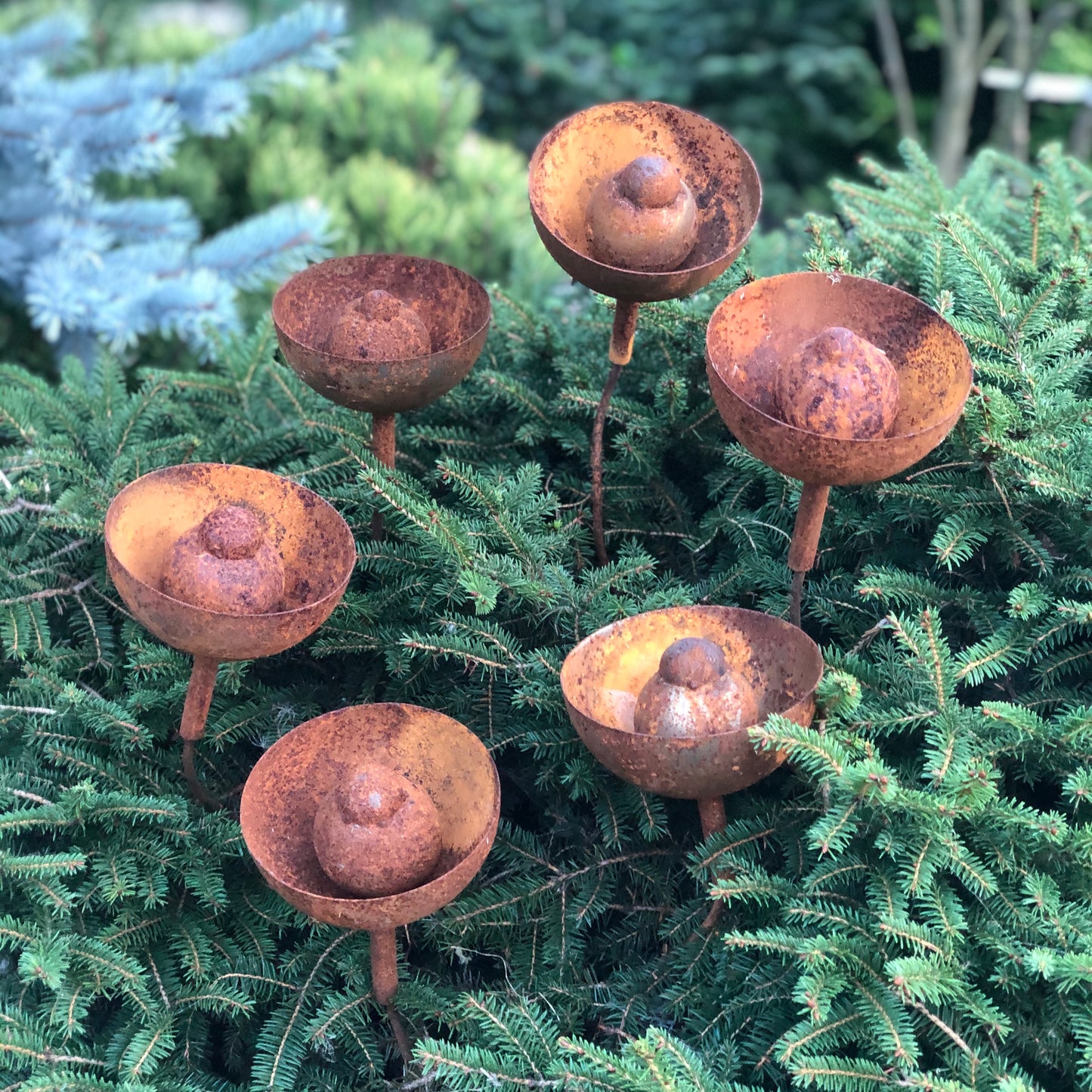 Rusty flowers set of 6, Metal garden decor, 6 Rusty flowers garden stakes,  metal yard art, outdoor metal decor, Rusty metal rain catchers