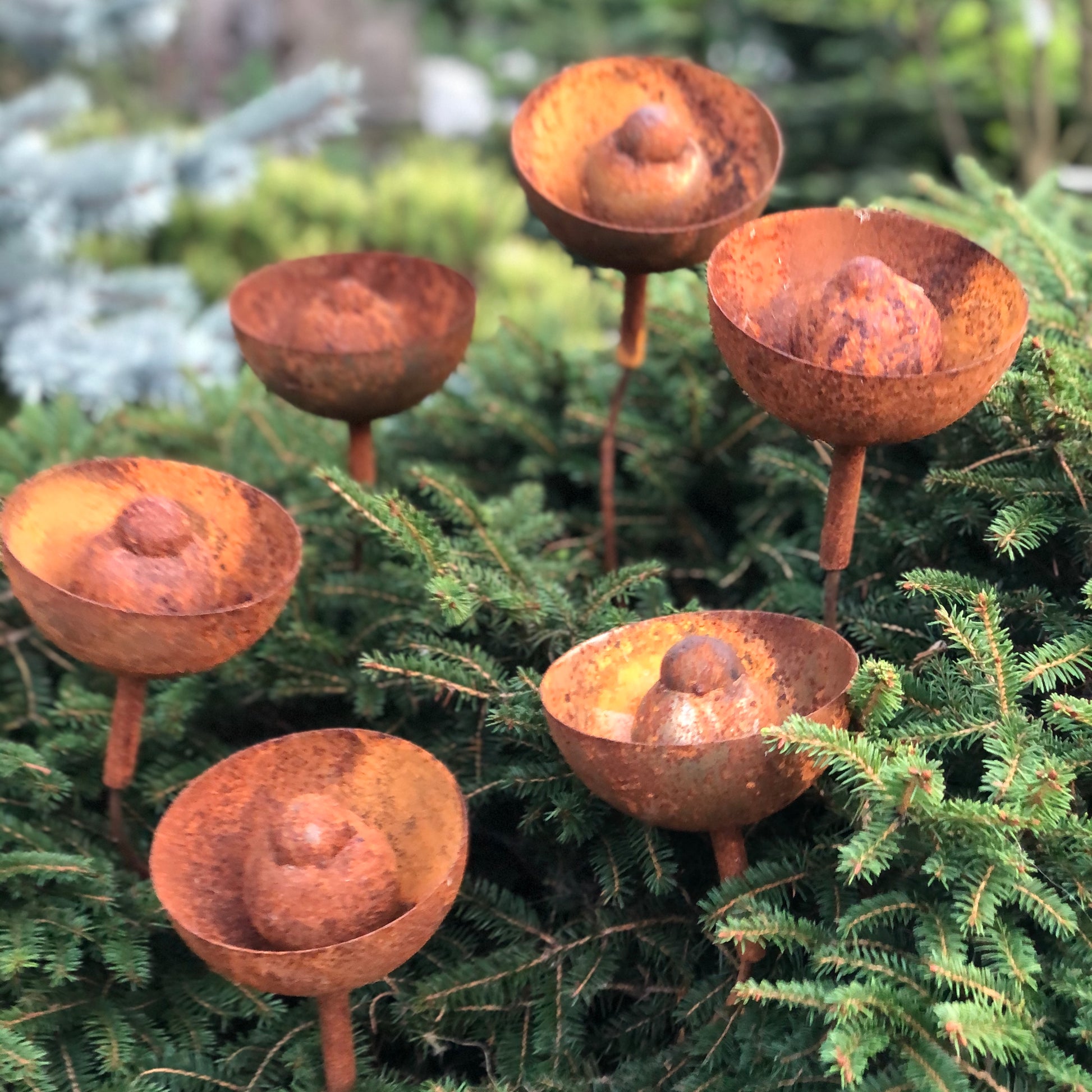 Rusty flowers set of 6, Metal garden decor, 6 Rusty flowers garden stakes,  metal yard art, outdoor metal decor, Rusty metal rain catchers