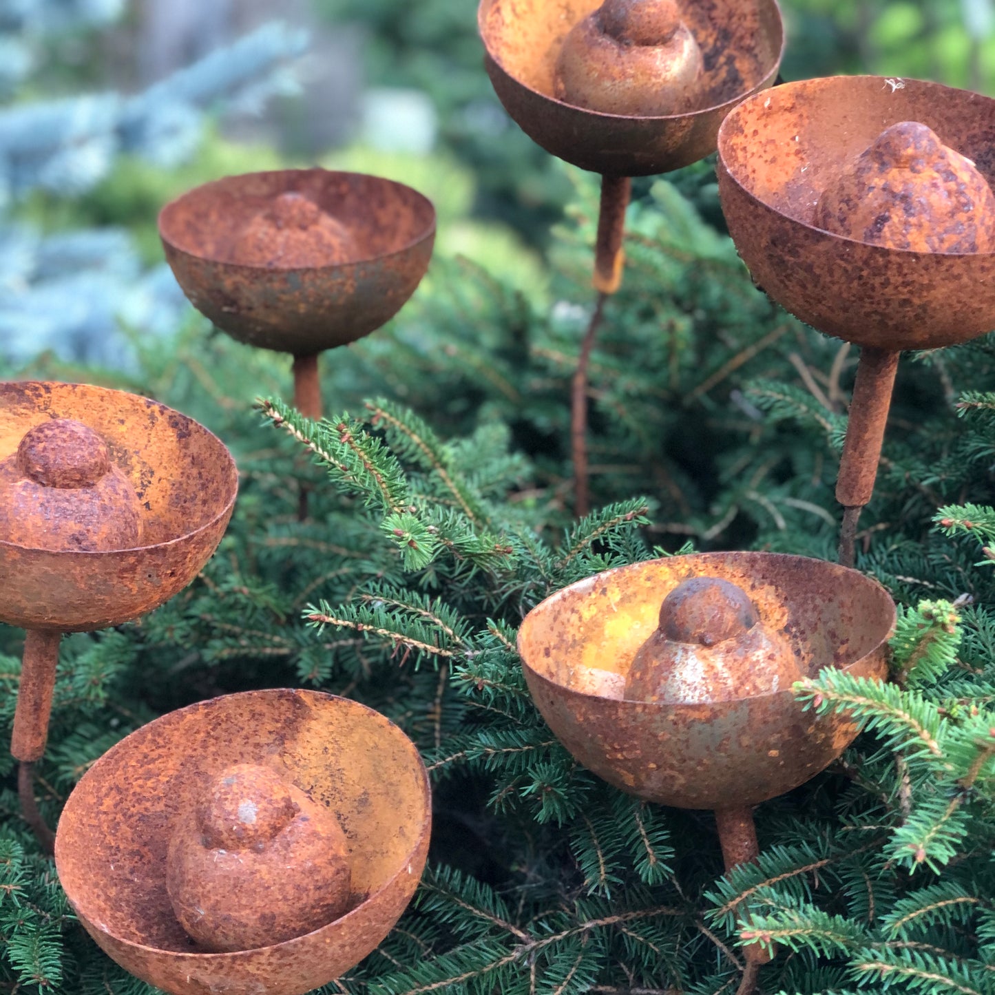 Rusty flowers set of 6, Metal garden decor, 6 Rusty flowers garden stakes,  metal yard art, outdoor metal decor, Rusty metal rain catchers