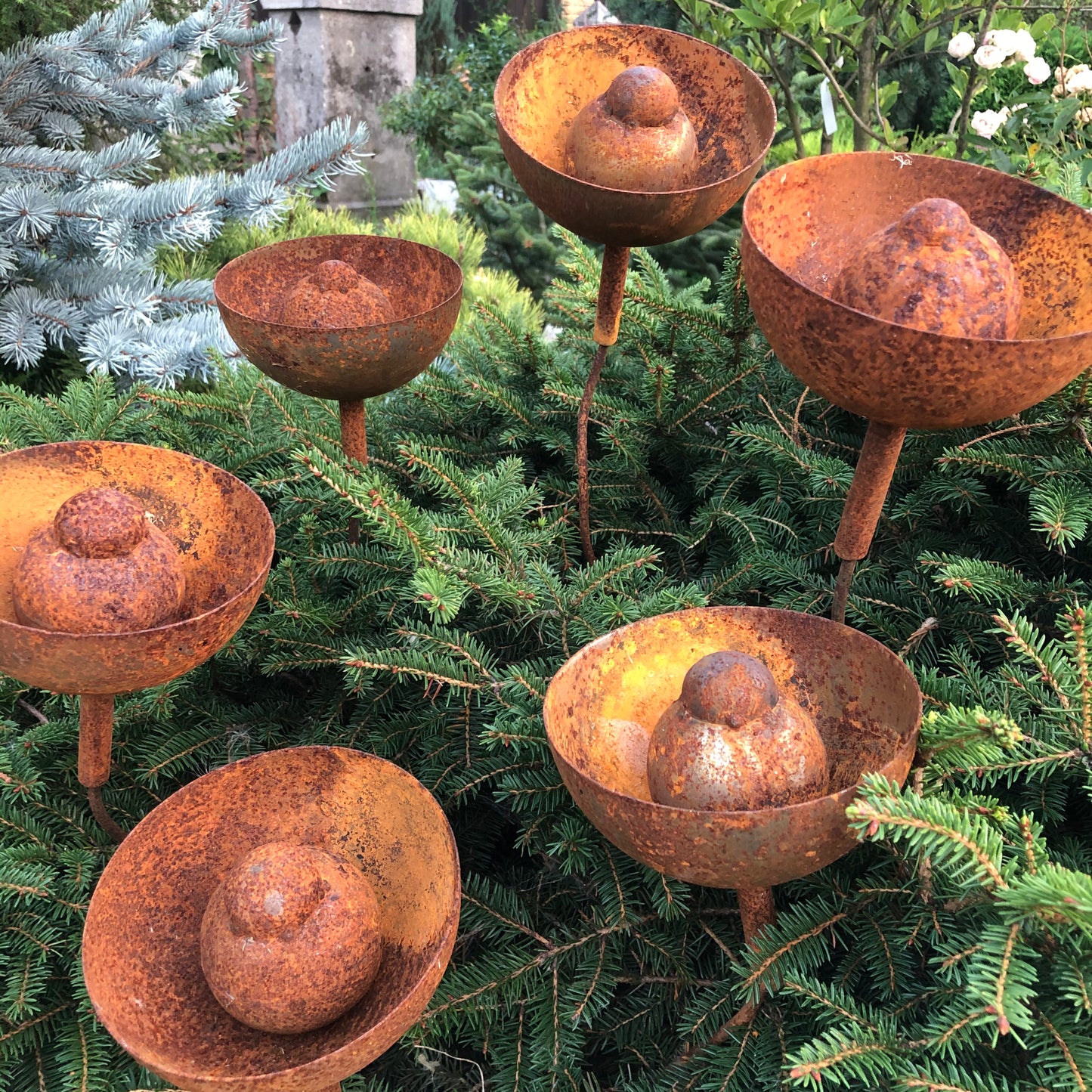 Rusty flowers set of 6, Metal garden decor, 6 Rusty flowers garden stakes,  metal yard art, outdoor metal decor, Rusty metal rain catchers