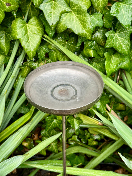 6” Rain Catcher, Stainless Steel Collector, Bird Bath, Feeder & Water Bowl, Garden Stakes, Yard Art, Unique Garden Decor, Weathered Accent
