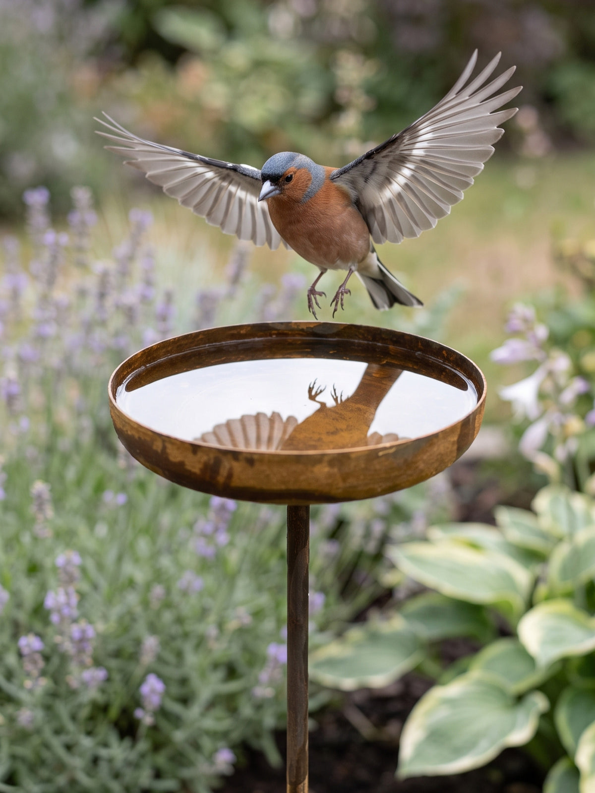 Recogedor de lluvia, estacas de metal oxidado de 8" para jardín de flores, decoración de jardín para bebedero de pájaros