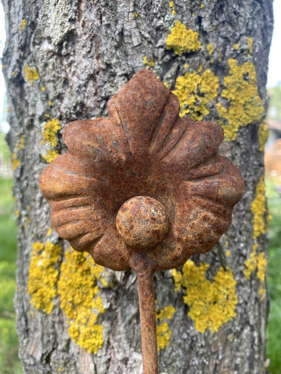 Rusty flowers set of 6, Metal flower garden stake, Metal garden decor, metal yard art, outdoor metal decor, Rusty metal garden decor