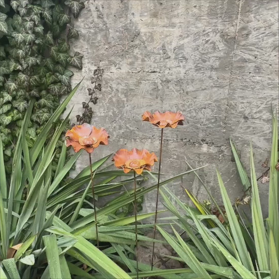 Rusty flowers set of 3, Poppy flowers garden stakes, Metal garden decor, metal yard art, outdoor metal decor, Rusty metal garden decor