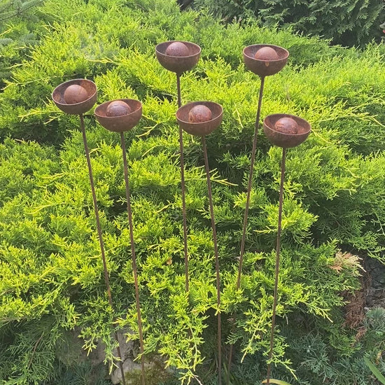 Set of 6 rusty flowers, Metal garden decorations, Yard art, Outdoor metal decor, Rusty metal rain catchers, beautiful garden stakes