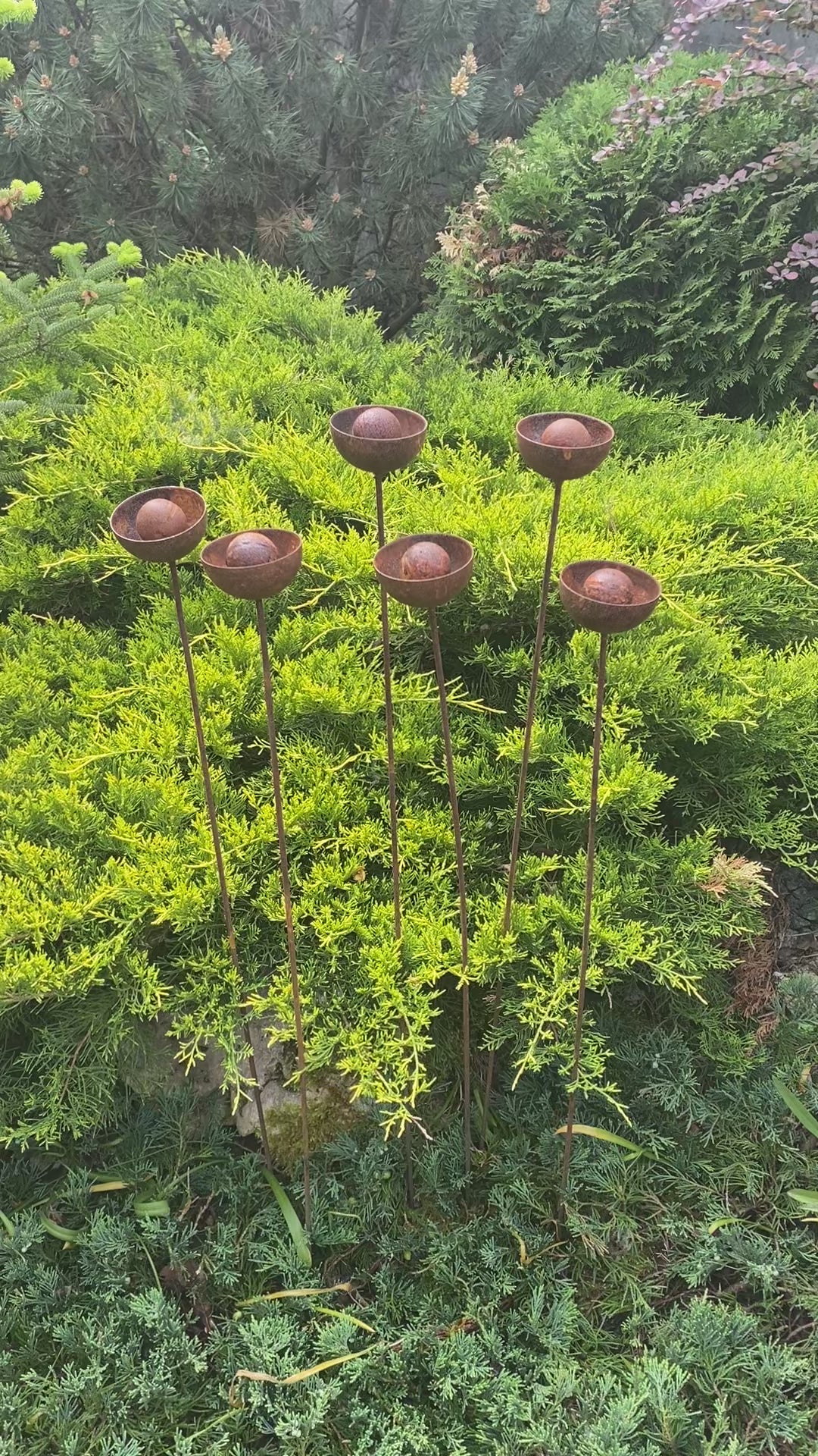 Set of 6 rusty flowers, Metal garden decorations, Yard art, Outdoor metal decor, Rusty metal rain catchers, beautiful garden stakes