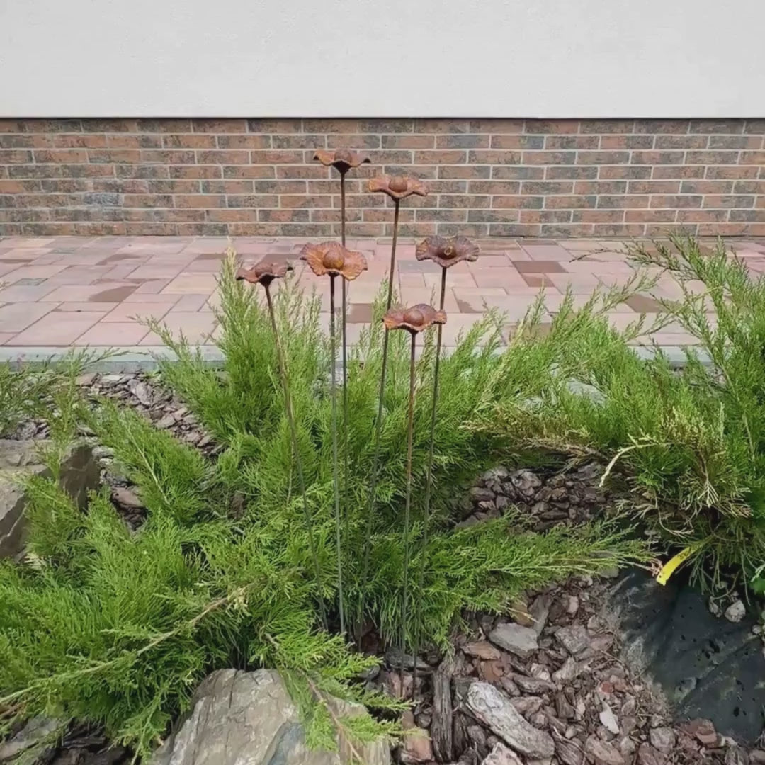 Rusty flowers set of 6, Poppy flowers garden stakes, Metal garden dмecor, metal yard art, outdoor metal decor, Rusty metal garden decor