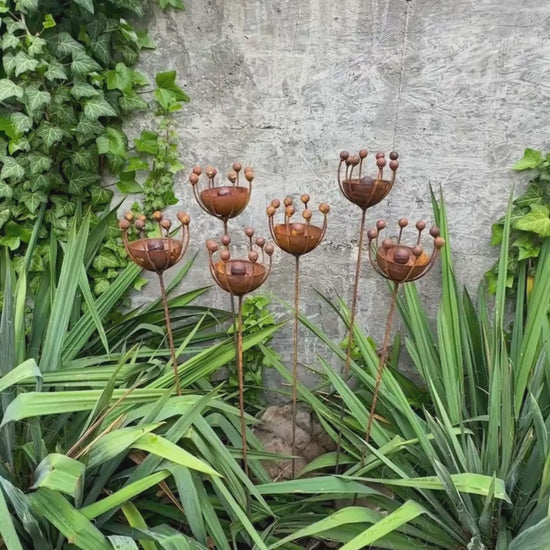 Rustic Metal Exotic Flowers Set of 6 Garden Sculptures Bee Butterfly Rain Catchers Handmade Outdoor Decor Yard Art Landscaping Gift