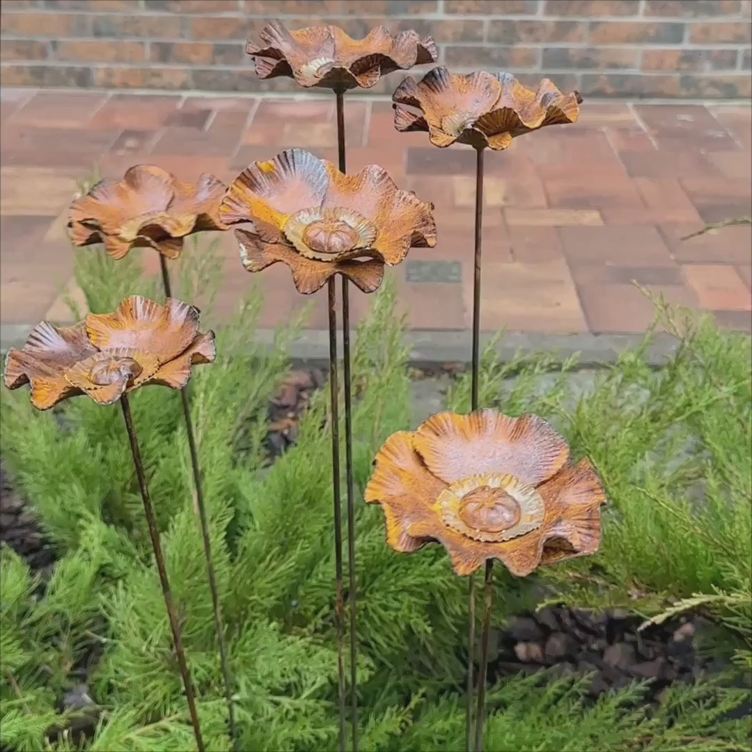 Rusty flowers set of 6, Poppy flowers garden stakes, Metal garden decor, metal yard art, outdoor metal decor, Rusty metal garden decor