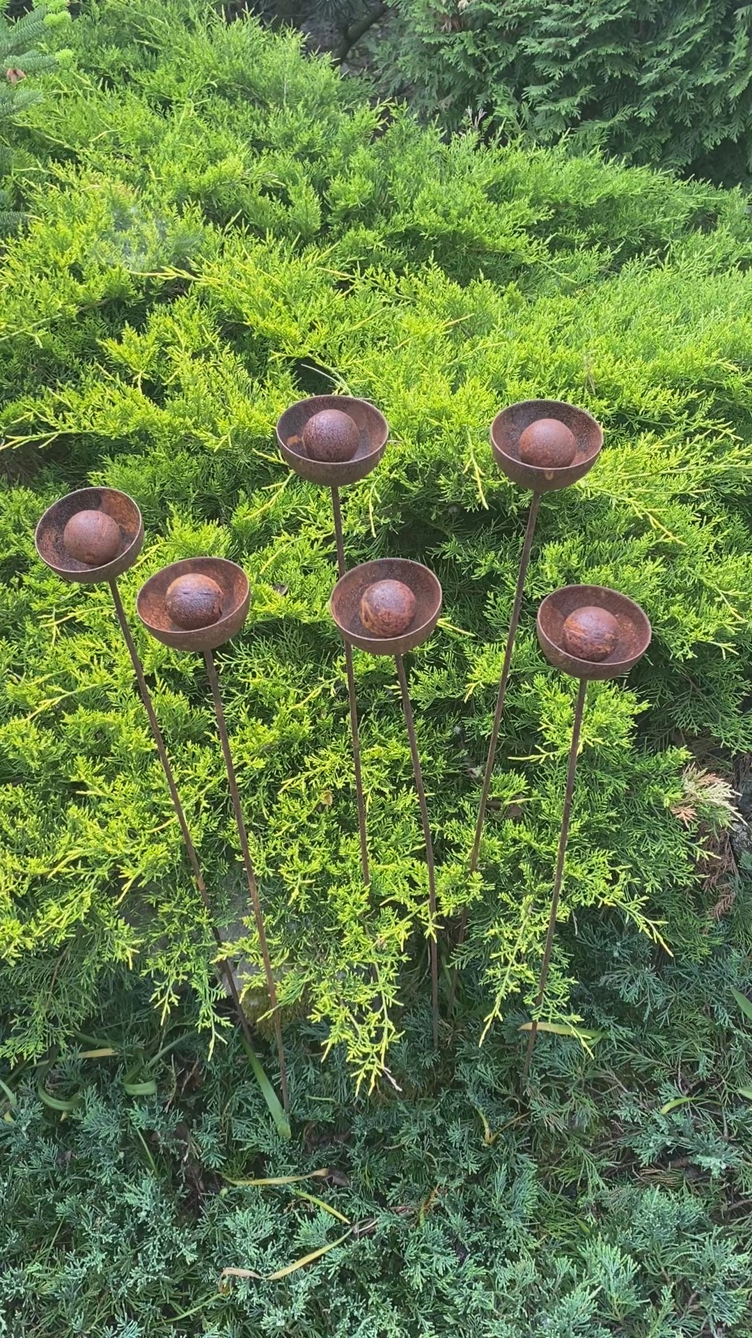 Set of 6 rusty flowers, Metal garden decorations, Yard art, Outdoor metal decor, Rusty metal rain catchers, beautiful garden stakes