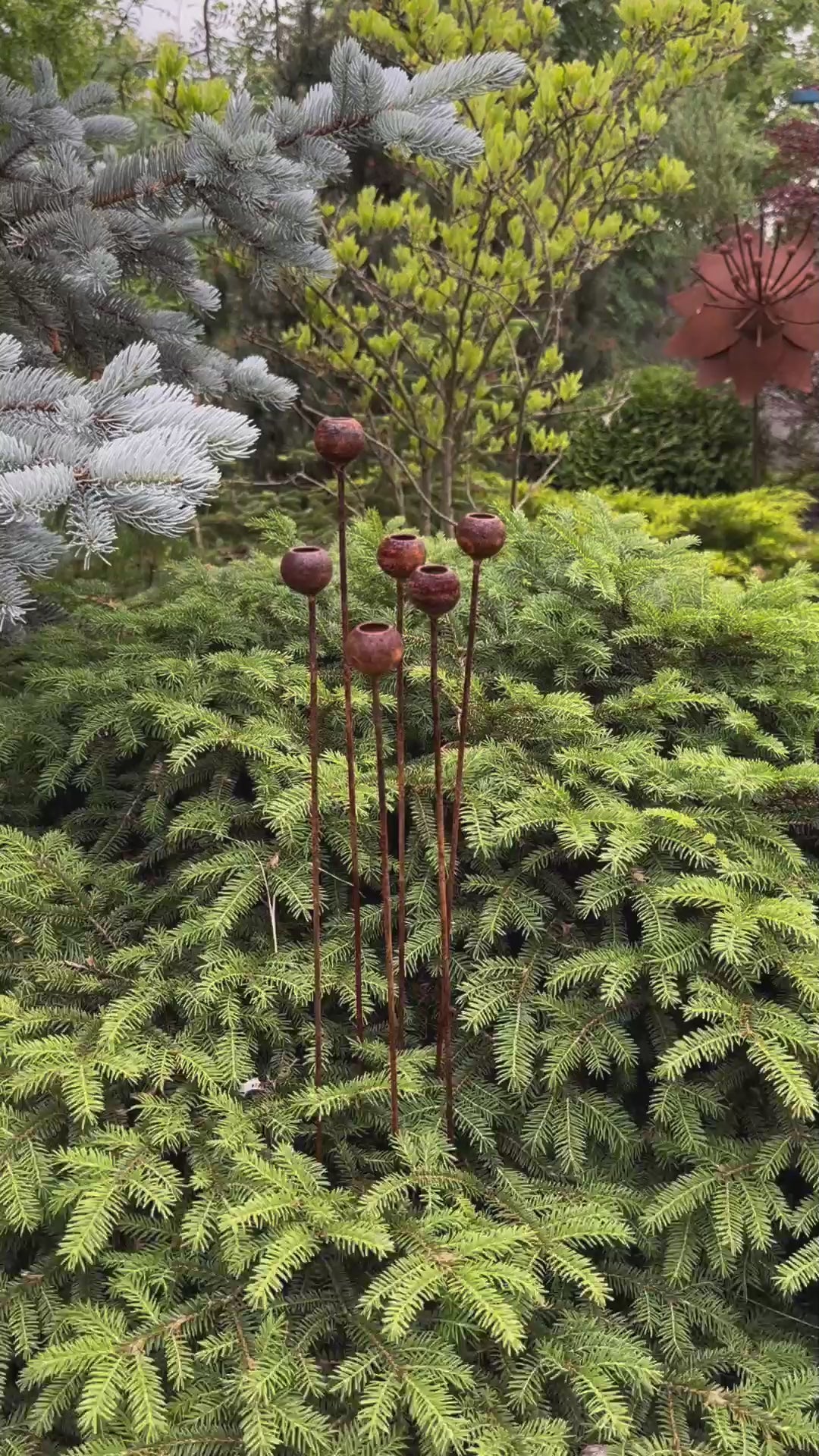 Rusty flowers set of 6, Flowers garden decor, Metal rain catchers, metal yard art, outdoor metal decor, Rusty metal garden decor