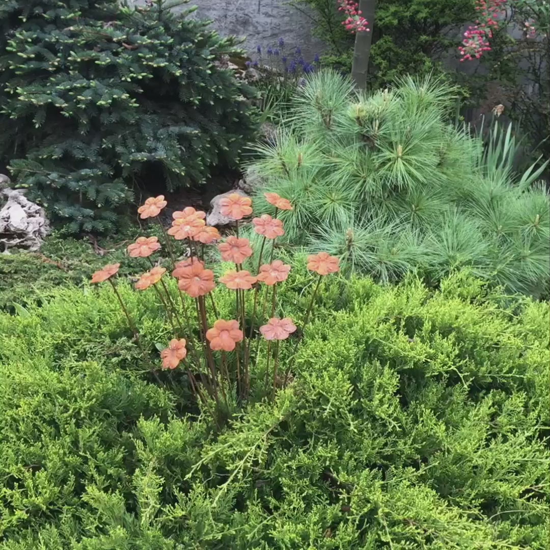 Rusty flowers set of 20, 20 Rusty flowers garden stakes, Metal garden decor, metal yard art, outdoor metal decor, Rusty metal garden decor