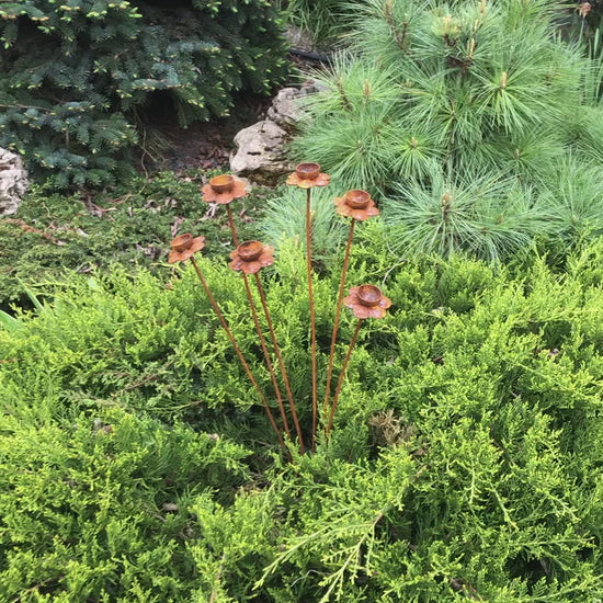 Rusty Flowers Set of 6 – Garden Stakes, Metal Garden Decor, Rain Catchers, Outdoor Metal Art, Rustic Yard Sculpture, Weathered Garden Accent