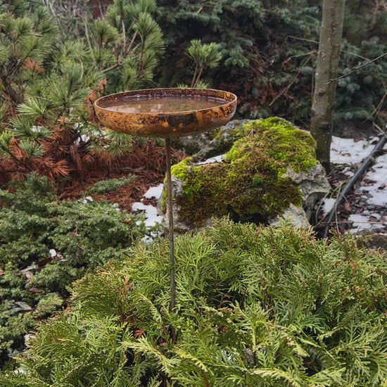 This Rustic metal bird bath will place decorative accent in the garden compositions and landscape, create an atmosphere of romance and coziness in your home. 