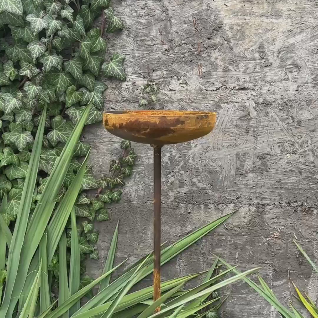 7” Rain catcher, Rusty metal flower garden stakes, Bird bath outdoor garden decor