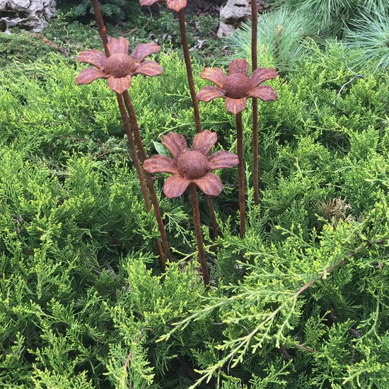 Rusty flowers set of 6, 6 Rusty flowers garden stakes, Metal garden decor, metal yard art, outdoor metal decor, Rusty metal garden decor