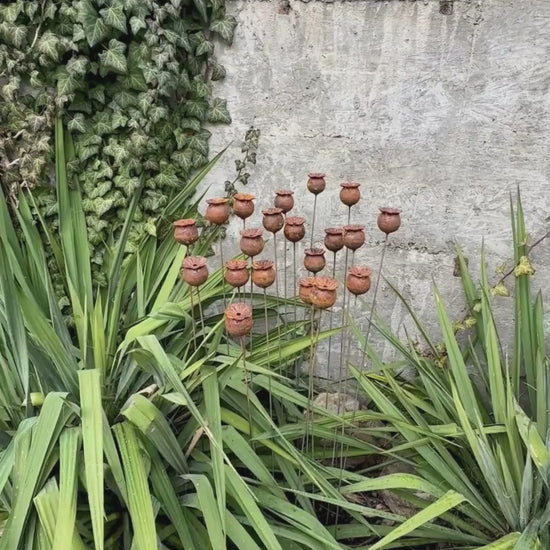 Rusty flowers set of 20, Poppy seeds head garden decor, Metal garden decor, metal yard art, outdoor metal decor, Rusty metal garden decor