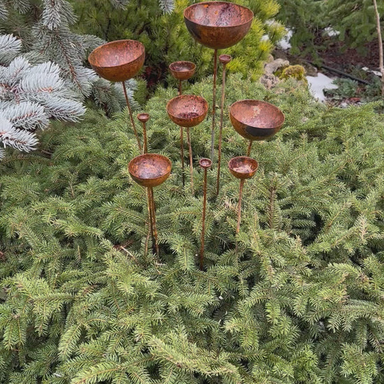 Rusty flowers set of 10, Metal rain catchers, yard art, outdoor metal decor, Rusty metal garden stakes