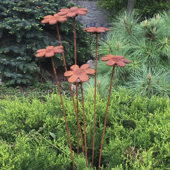 Rusty flowers set of 6, 6 Rusty flowers garden stakes, Metal garden decor, metal yard art, outdoor metal decor, Rusty metal garden decor