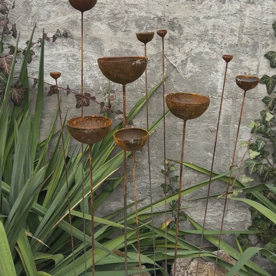 Rusty flower buds set of 10, Garden stakes garden decor, Metal garden decor, Metal sculpture, Outdoor metal decor, Rusty metal rain catchers