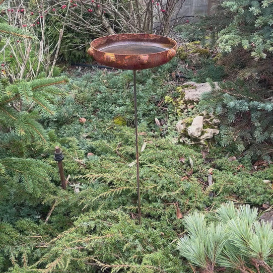 Rustic metal bird bath will place decorative accent in the garden compositions and landscape, create an atmosphere of romance and coziness in your home. This rusty metal art could be used as decoration at your home, in your garden, backyard, terrace or entrance to your home.