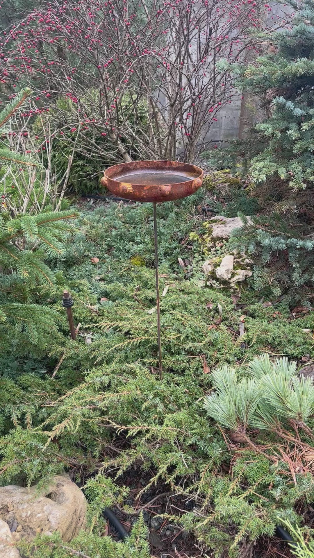 Rustic metal bird bath will place decorative accent in the garden compositions and landscape, create an atmosphere of romance and coziness in your home. This rusty metal art could be used as decoration at your home, in your garden, backyard, terrace or entrance to your home.