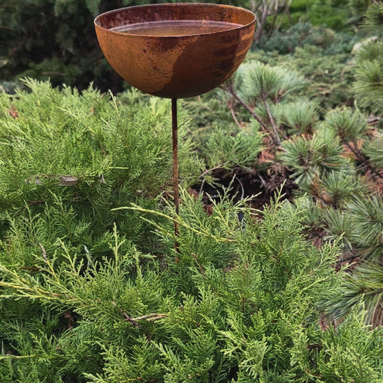 Rain catcher, Rusty metal flower garden stakes, Bird bath outdoor garden decor